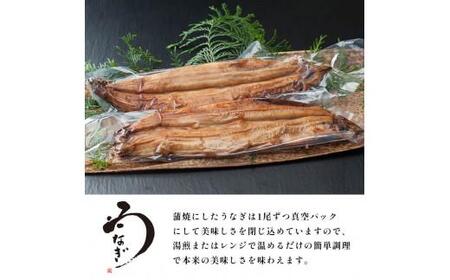国産 うなぎ 蒲焼 2尾 特製ダレ付 冷凍 海鮮 魚介 京都 舞鶴 鰻 蒲焼 蒲焼き かば焼き 国産うなぎ 国産鰻 土用 丑の日 うしのひ うな重 うな丼 ひつまぶし 土用の丑の日 タレ付き