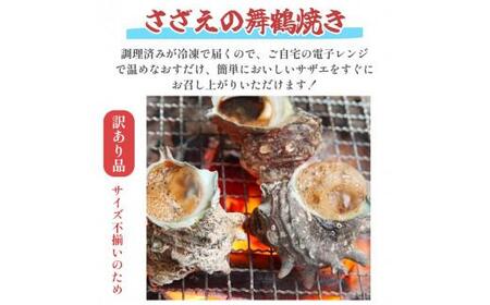 【訳あり】 さざえの舞鶴焼き 100～150gサイズ×5個 サザエ 訳ありサザエ こだわりだしのサザエ 採れたての味が楽しめるこだわりのサザエ 大きさ不揃いサザエ プロトン冷凍 冷凍 魚介 海鮮 つぼ焼きサザエ 加工品 バーベキュー BBQ アウトドア 京都 舞鶴
