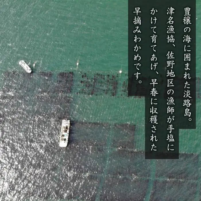 淡路島産 若芽わかめ 300ｇ×3袋【早摘みわかめ】