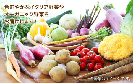 【全3回定期便】旬を味わう 糸島 野菜 セット 10〜14種 （14パック） / イタリア野菜 オーガニック 野菜ソムリエ 松永 糸島市 / vegeLabo [AJB004]