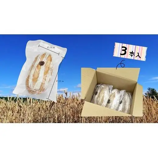 キタノカオリ小麦のカンパーニュ3本セット【24022】