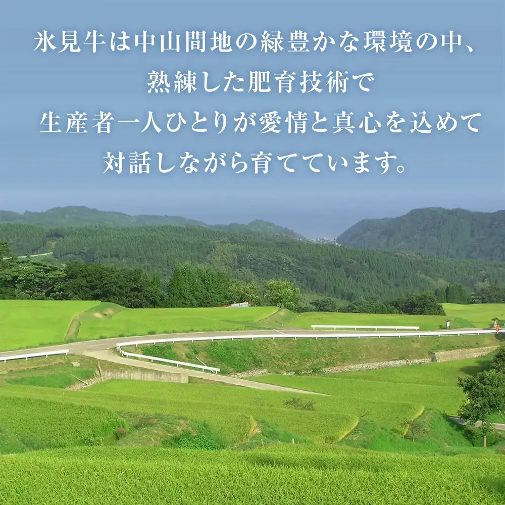お肉屋さんの氷見牛カレー３個入
