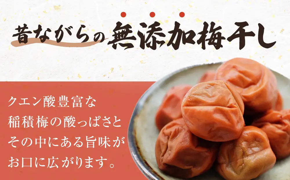 梅干し お米（10kg）付き！　｜　富山県 氷見市 固定種 稲積梅 梅 梅干し 手作り 果実 昔ながら 無添加 酸っぱい 肉厚 お米 セット GI認証 GI登録