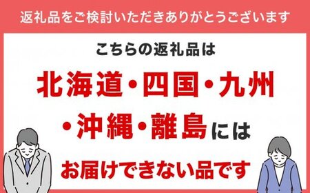 氷見産山ぶどうのフロマージュ4個セット パティスリーシュン　【お菓子・スイーツ】