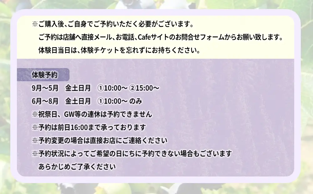 氷見市でブルーベリーのジャム作り体験５名様●ケーキとコーヒー付き
