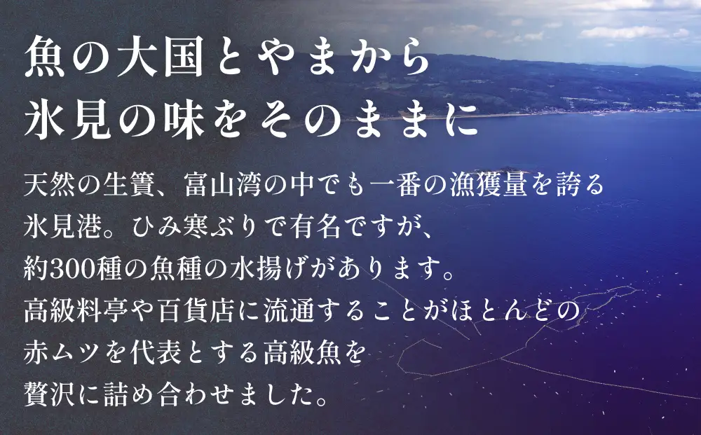 氷見港朝獲れ 高級魚！丸っと贅沢直送便！ 船上氷上締め 鮮魚ボックス | 高級魚 鮮魚ボックス