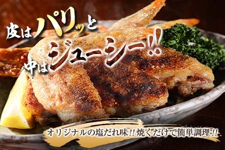 数量限定 みやざき地頭鶏 JIGEN焼 ミックス 合計1.2kg以上 鶏肉 チキン 地鶏 国産 食品 ブランド鶏 オリジナル 味付き 簡単調理 手羽先 手羽元 おつまみ おかず 晩ご飯 小分け 真空パック おすすめ お取り寄せ グルメ おすそ分け 宮崎県 日南市 送料無料_C121-24