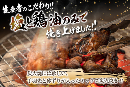 数量限定 みやざき地頭鶏 炭火焼き ミックス 合計750g 鶏肉 チキン 国産 加工品 食品 惣菜 モモ ムネ 手羽先 砂ずり おかず おつまみ 真空パック 小分け 宮崎名物 ブランド 簡単調理 晩ご飯 人気 おすすめ お取り寄せ グルメ 宮崎県 日南市 送料無料_C122-24