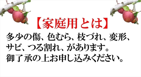 長野県産 サンふじ りんご 家庭用 約5kg （14〜25玉）〈2026年12月出荷分／北海道・沖縄県・離島は配送不可〉信州 果物 旬彩 先行予約 季節限定【 当園にて愛情たっぷりに育てたりんご 長野県 佐久市 】