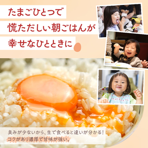 【定期便（３カ月）】小久保ファーム　濃厚卵黄　産みたてたまご　赤玉30個入り（M玉） ※着日指定不可 _EI04