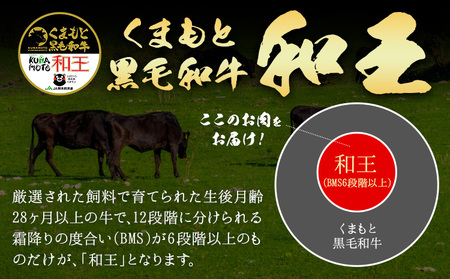 熊本県産A5等級和王 柔らか赤身焼肉 900g 帝神志方ミート株式会社《90日以内に出荷予定(土日祝除く)》熊本県 菊池市 牛肉 肉 お肉 和牛 くまもと黒毛和牛 熊本県産 A5 和王 赤身 赤身肉 柔らか 厳選 焼肉