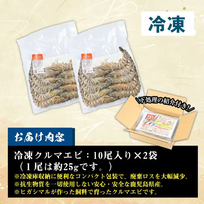 鹿児島県産！冷凍クルマエビ 500g クルマエビを合計20尾！クルマエビ1尾あたり25g　急速冷凍をかけたクルマエビをお届けします	【00-118-01】