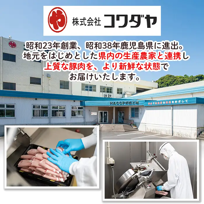 isa489 鹿児島県産黒豚炭焼き焼豚(計1kg・200g×5P) 鹿児島 国産 九州産 黒豚 豚肉 焼き豚 焼豚 味付き 惣菜 おかず 弁当 小分け【コワダヤ】