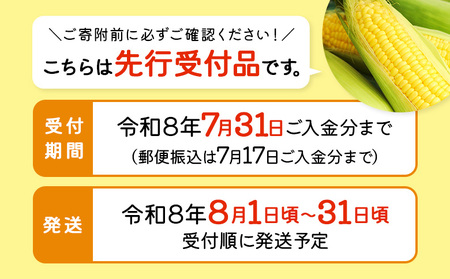 【先行受付】 スイートコーン（イエロー）5kg【令和8年8月1日頃～31日頃発送】【1202002】