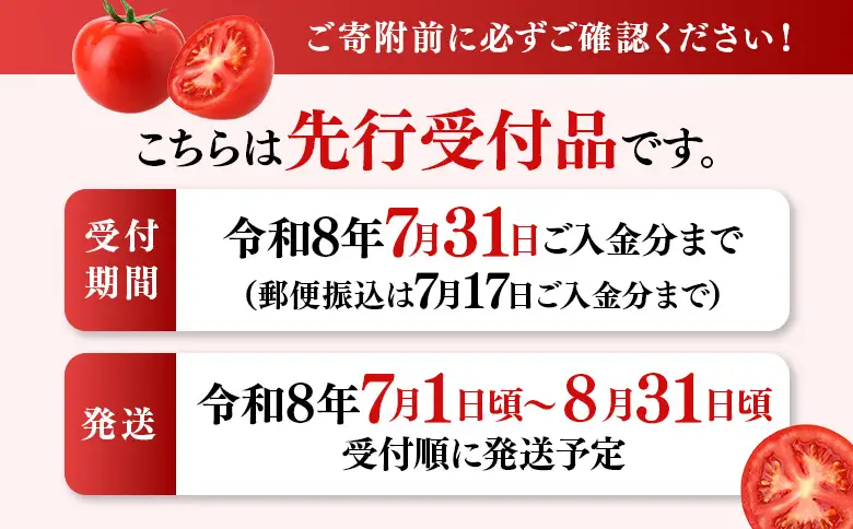 《先行受付》【特選】 清野ファームの高糖度トマト 54玉（約3.5kg）【令和8年7月1日頃～8月31日頃発送】【1800202】