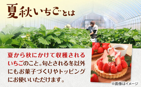 先行予約 26年7月以降発送 夏秋イチゴ すずあかね 計600g  夏いちご 生 苺 四季成り 北海道 [AXBT003]