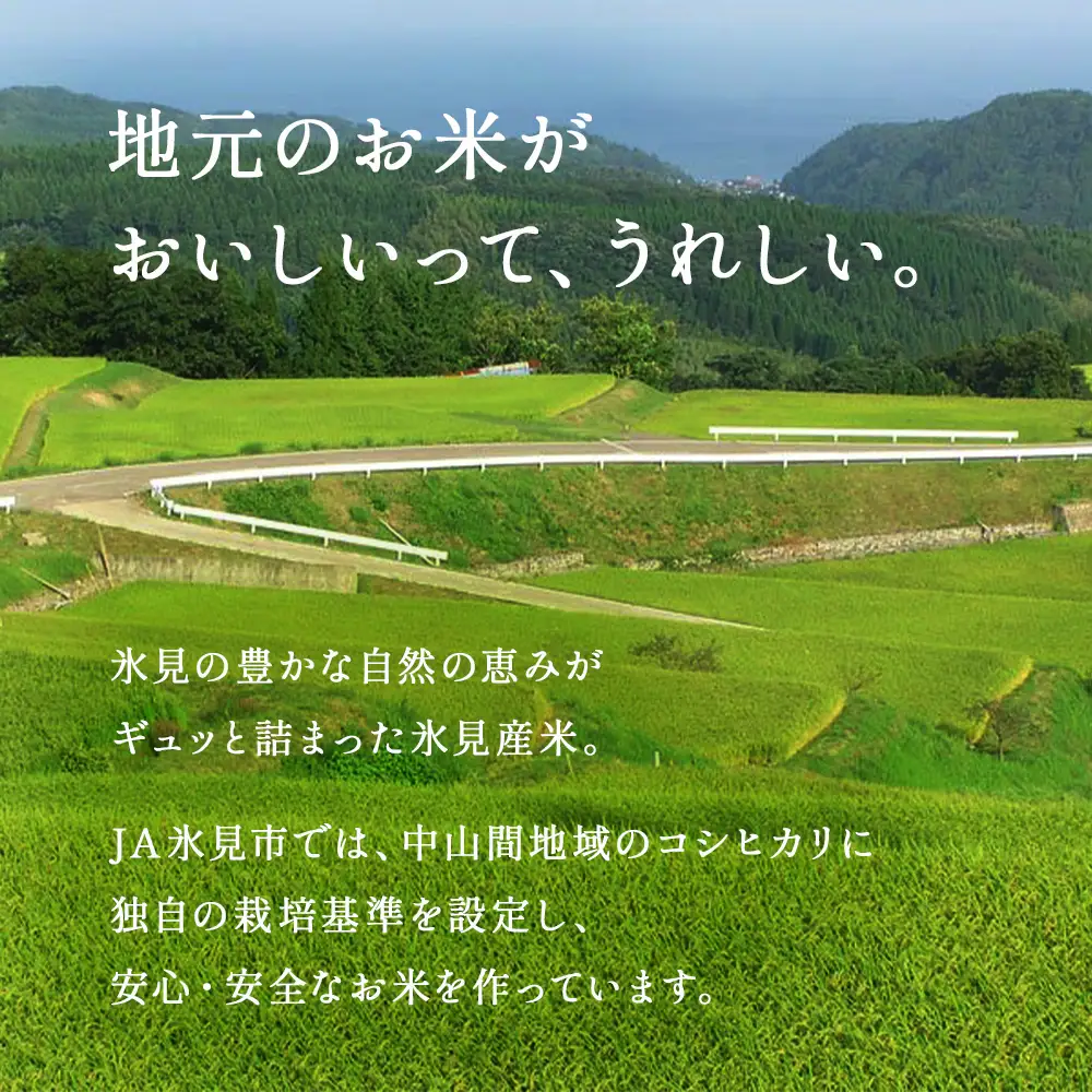【玄米】令和7年産富山県産コシヒカリ《こめ自慢》30kg  | 富山 氷見 こしひかり 30kg 特別栽培米 玄米 特別栽培米