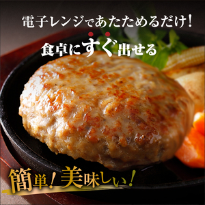 【訳あり】浜中牛＆ホエイ豚ハンバーグ 24個 ハンバーグ 冷凍_H0019-102