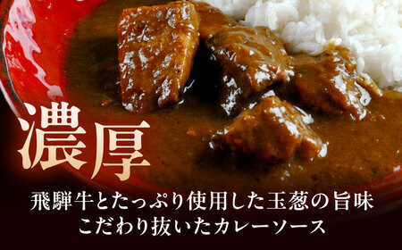-あふひ 贅の極み- 飛騨牛カレー 2人前×4個セット / 恵那市 / テンポイント [AUEU003]