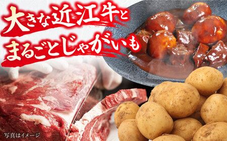 -あふひ 贅の極み- まるごとじゃがいもと近江牛のシチュー レトルト 2人前×2個セット / 恵那市 / テンポイント [AUEU021]