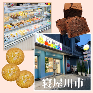 寝屋川市育ちのパティシエが作る「のうこうチョコパウンドケーキ(チョコチップ入り)、パン・ド・ジェーヌ」詰め合わせ [0618]