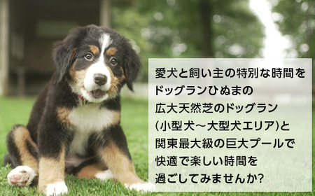 359 プライムランド ドッグランひぬま 利用券 22,000円分 毎回入場料無料特典付き