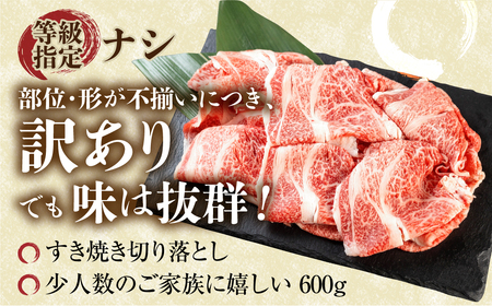 訳あり 飛騨牛 すき焼き用 切落し 600g 訳あり [S545]