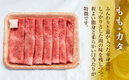 A5等級 飛騨牛 もも・カタ すき焼き しゃぶしゃぶ 500g すき焼き [S547]