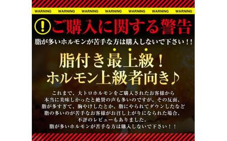国産牛 大トロホルモン 1.8kg 【ホルモン】