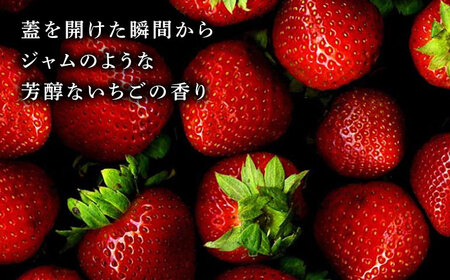 高級 いちご 100％ワイン Giftfromthe Earth -大地からの贈り物- オーガニック【伊藤農園】 いちご 苺 熊本県 特産品 オーガニック 有機 お酒 ワイン オーガニックワイン [ZBB004]
