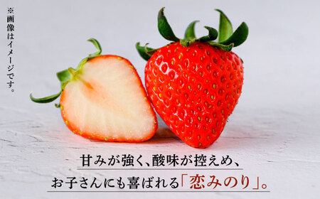 【先行予約】 高級いちご先行予約3回定期 恋みのり約800g(200g×4)有機栽培いちごイチゴ苺ZBB009