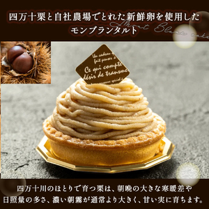 たまご農場直営スイーツ!四万十栗のモンブラン　5個入り／Gbn-51 モンブランタルト 和栗 ギフト