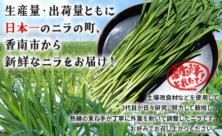 ニラ 2kg 生産量日本一 ニラ on-0011