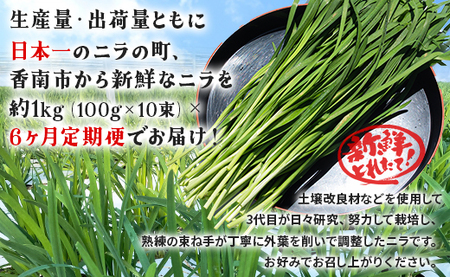 ニラ 1kg 定期便 6回 ニラ Won-0016