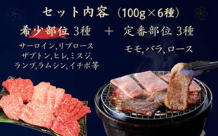 【京都府産黒毛和牛 焼肉セット】希少部位入り焼肉6種 （焼肉牛肉 焼肉 焼肉食べ比べ 焼肉 京の肉
