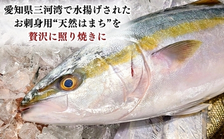 岬だより 天然はまちの醤油漬け 5袋セット 個包装