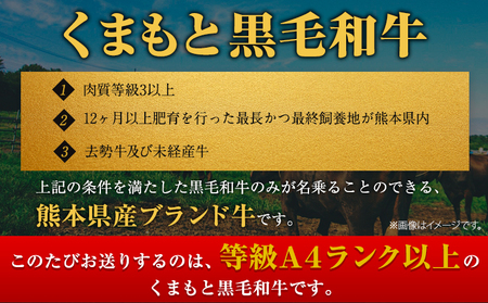 くまもと黒毛和牛 サーロイン リブロース ローススライス 600g 牛肉 冷凍 《30日以内に出荷予定(土日祝除く)》 くまもと黒毛和牛 黒毛和牛 スライス 肉 お肉 しゃぶしゃぶ肉 すき焼き肉 すき焼き 美味しい牛肉 熊本牛肉 ジューシー牛肉 贅沢な牛肉