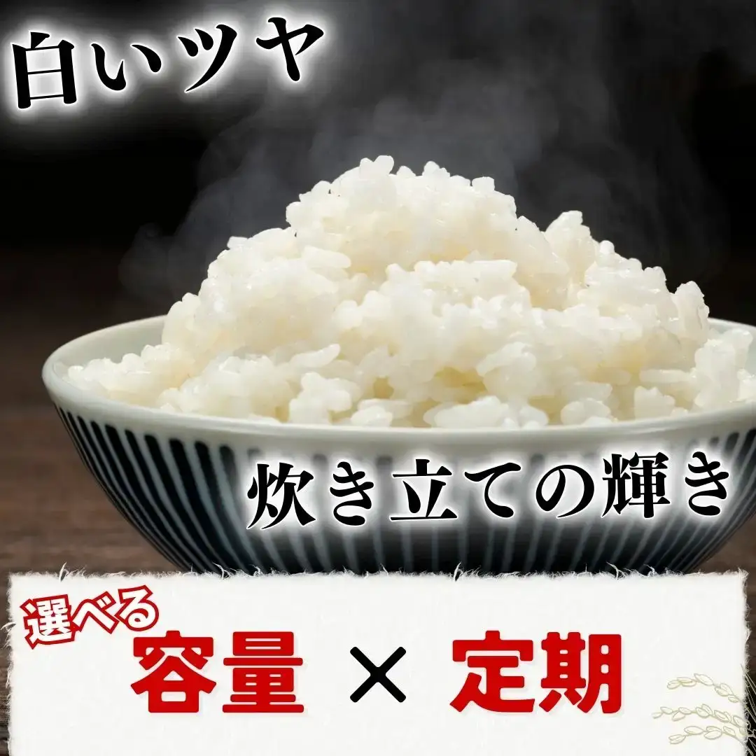 【令和7年産米】 新潟県三条市産 新之助 精米 10kg