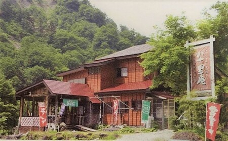 【ヤマサ商店】八十里庵 うどりカレー 220g×4箱 加工食品 惣菜 レトルト 野菜 山菜 肉の加工品 