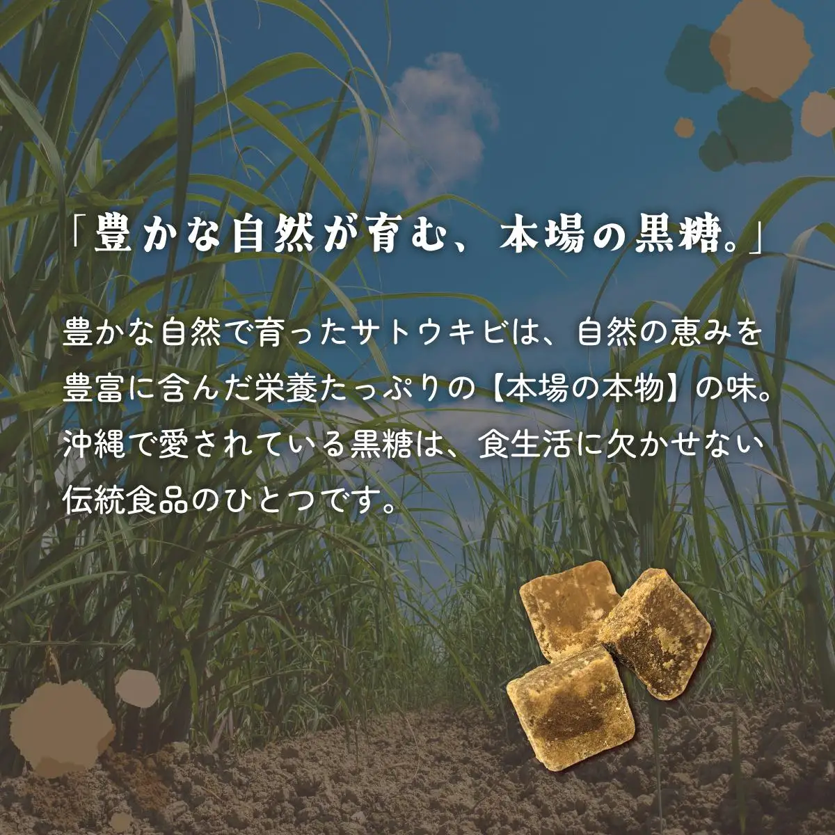 黒糖 西表島産 20袋セット