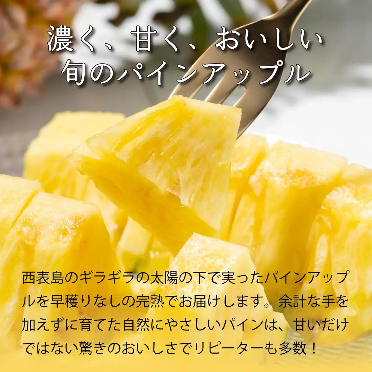 完熟 パインアップル 約3kg 