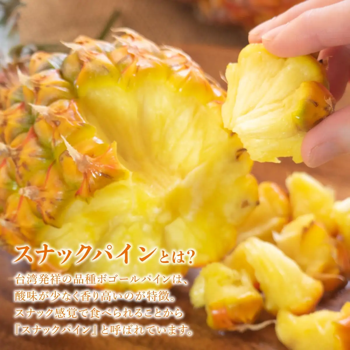 ちぎって食べるスナックパイン2kg（2～4玉）