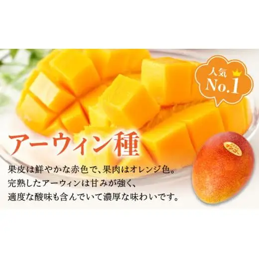 満足度NO.1！1玉1玉検品し、樹上完熟で糖度14度以上のみ発送します！ 西表島プレミアムマンゴー900g