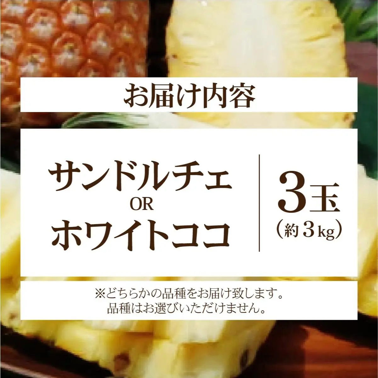 新品種パイン 『サンドルチェ』 または 『ホワイトココ』 3玉セット 約3kg 西表島産