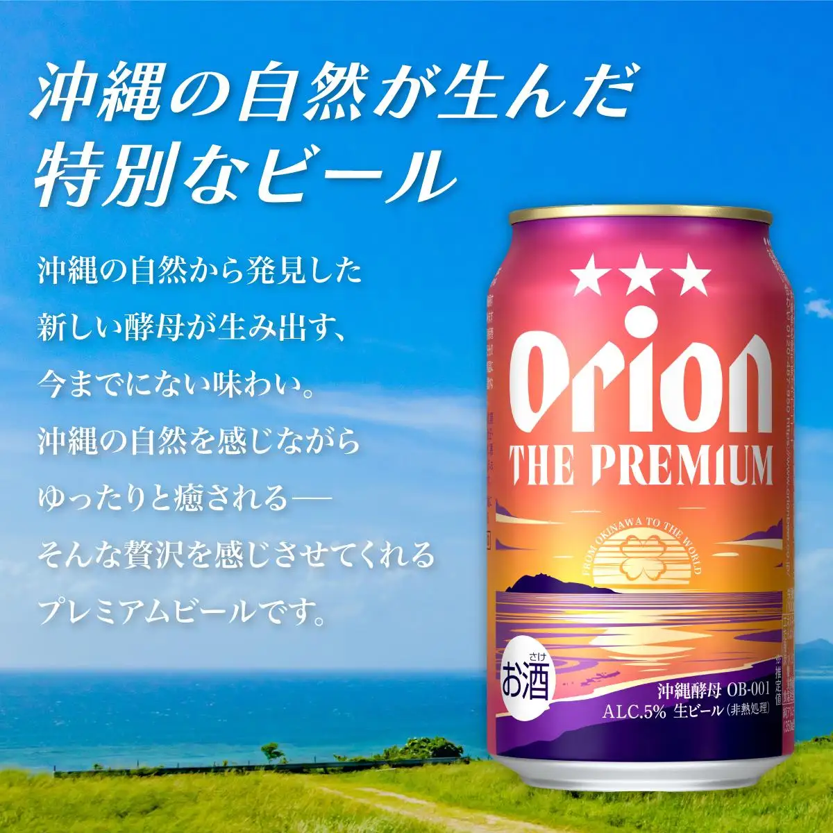 定期便 3回 オリオン ザ・プレミアム 缶 350ml 24本