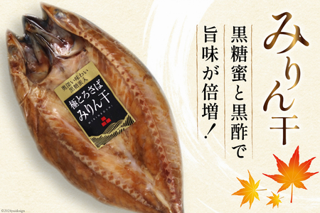極とろさば開き干 干物3枚セット [カネダイ 宮城県 気仙沼市 20564354]