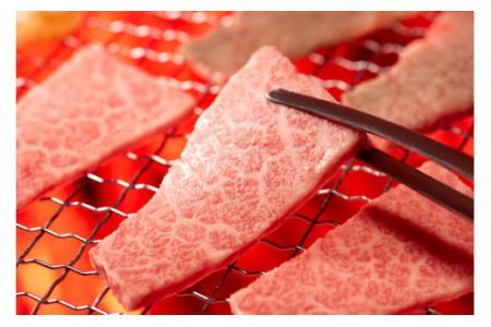 仙台牛 A5 カルビ 焼肉用 霜降り 赤身 500g [からくわ精肉店 宮城県 気仙沼市 20563355]