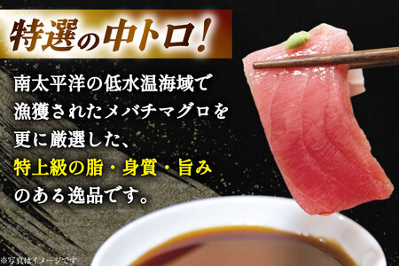 特撰 中トロマグロ（メバチマグロ）１柵 150g [川印　村田漁業 宮城県 気仙沼市 20563398]