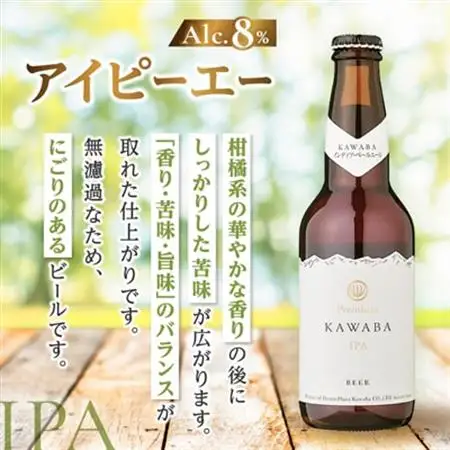 IPA　12本セット_酒・アルコール  ビール _【1446343】