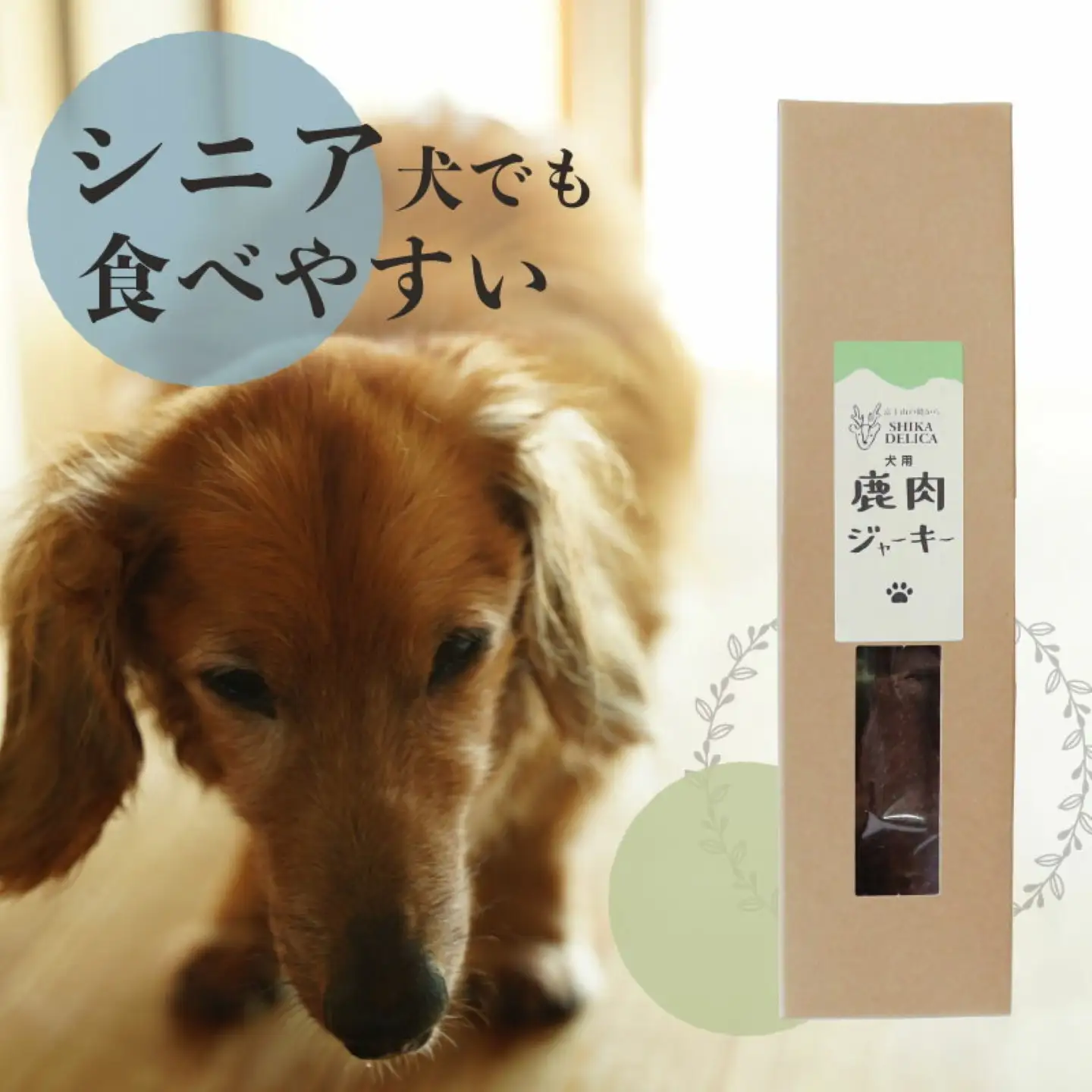【歯のない子でも食べられる】シニア向け犬用おやつセット